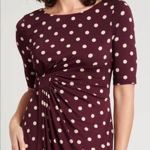 Connected apparel navy and white polka dot dress